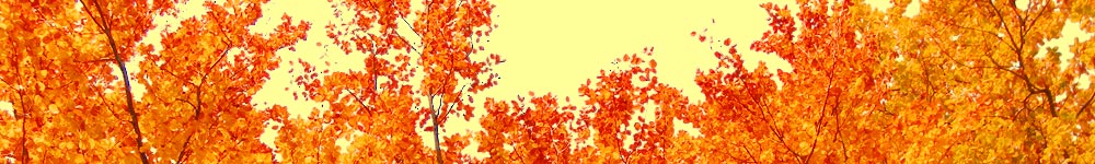 fachbach hausmeisterservice